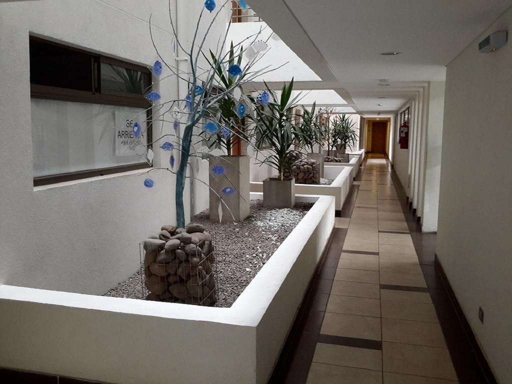 Departamento Renaca Park Lägenhet Vina del Mar Rum bild